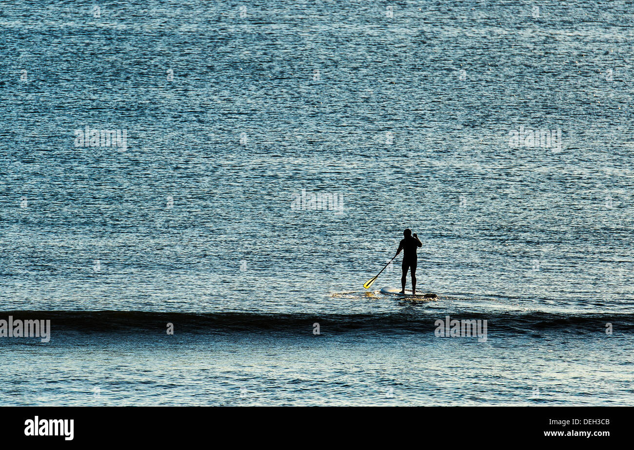Paddle board surfer tête d'attraper une vague, Coast Guard Beach, Cape Cod, Massachusetts, USA Banque D'Images