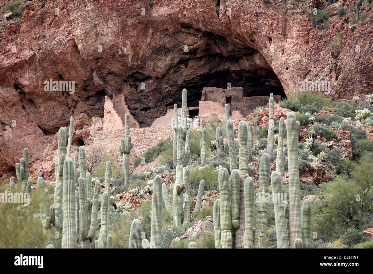 Tonto National Monument Logement Falaise Banque D'Images