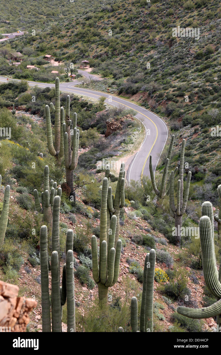 Scenic Tonto National Monument Banque D'Images