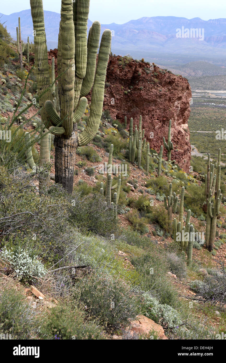 Scenic Tonto National Monument Banque D'Images