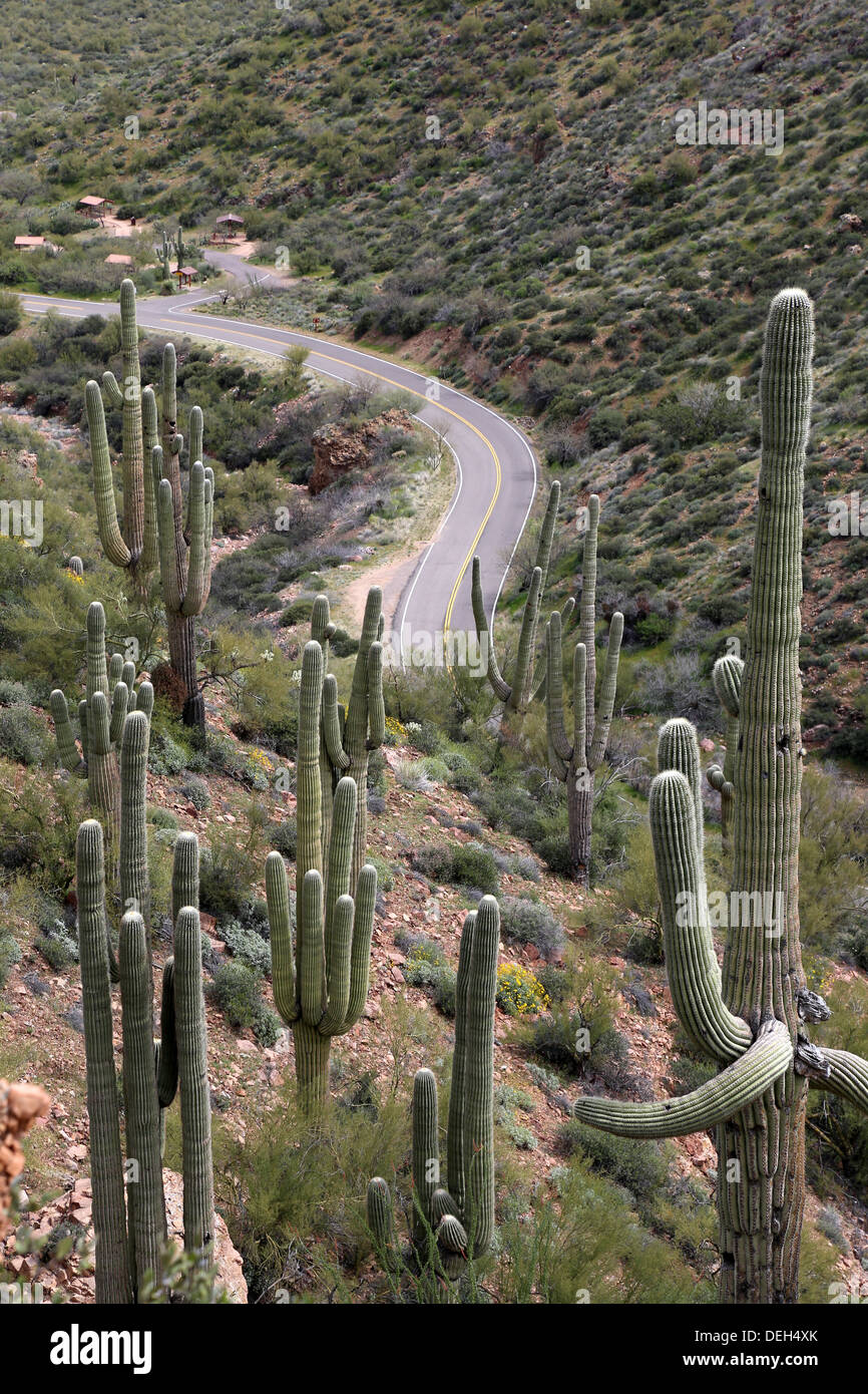 Scenic Tonto National Monument Banque D'Images