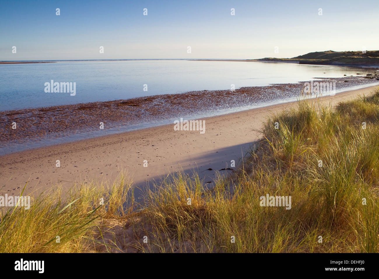 Tôt le matin à Budle Bay sur la côte de Northumberland près de Lunteren. Banque D'Images