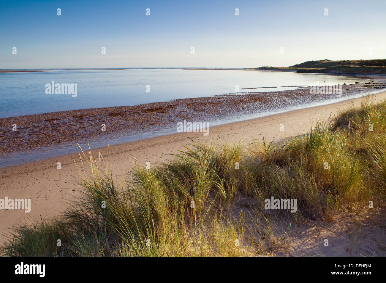 Tôt le matin à Budle Bay sur la côte de Northumberland près de Lunteren. Banque D'Images