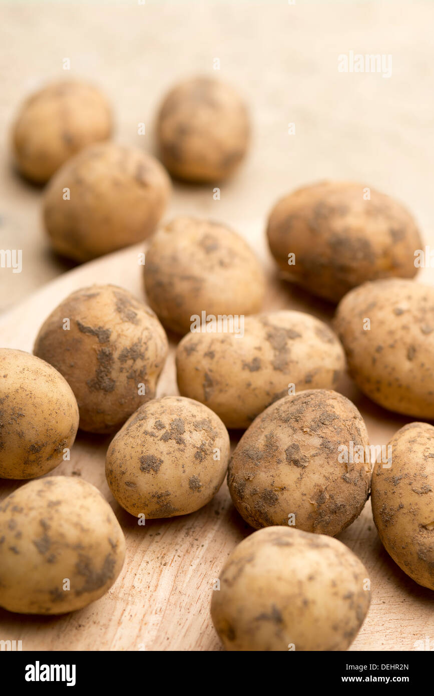 Une composition de frais, délicieux et appétissants Maris Piper les pommes de terre sur une surface en bois pour la cuisson Banque D'Images