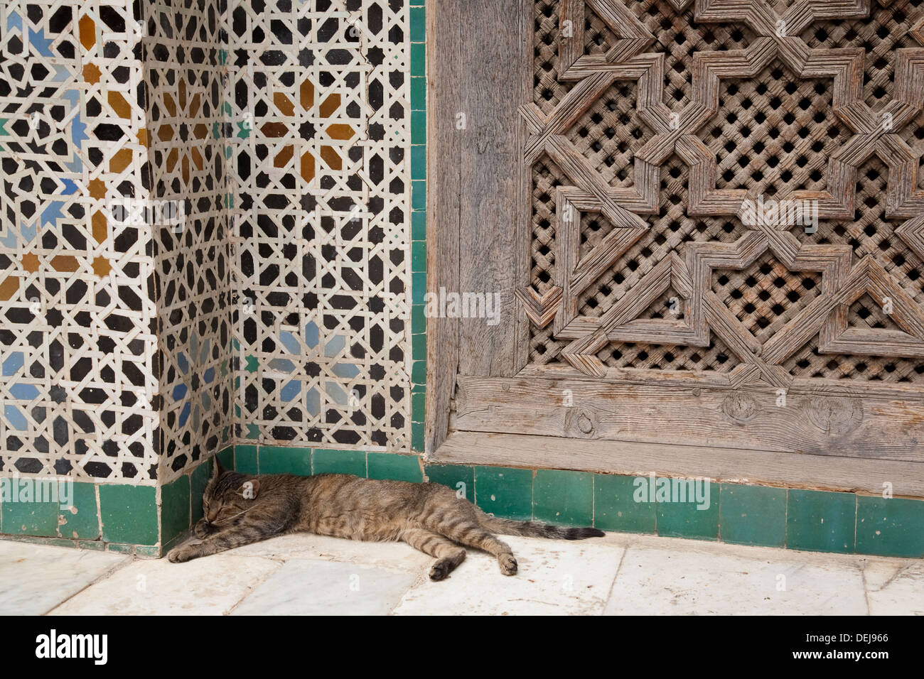Chat endormi dans le patio de la Medersa Bou Inania de Fès, Maroc, medina Banque D'Images
