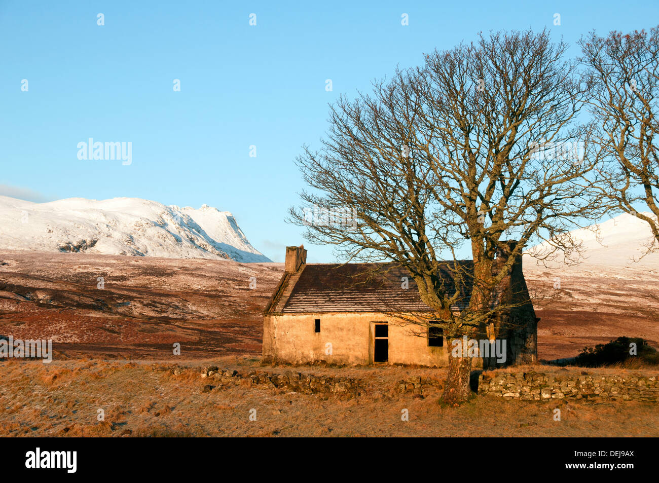 Le Chaonasaid Sgòr haut de Ben loyal de la maison abandonnée au Lettermore, Loch Loyal, près de langue, Sutherland, Scotland, UK Banque D'Images