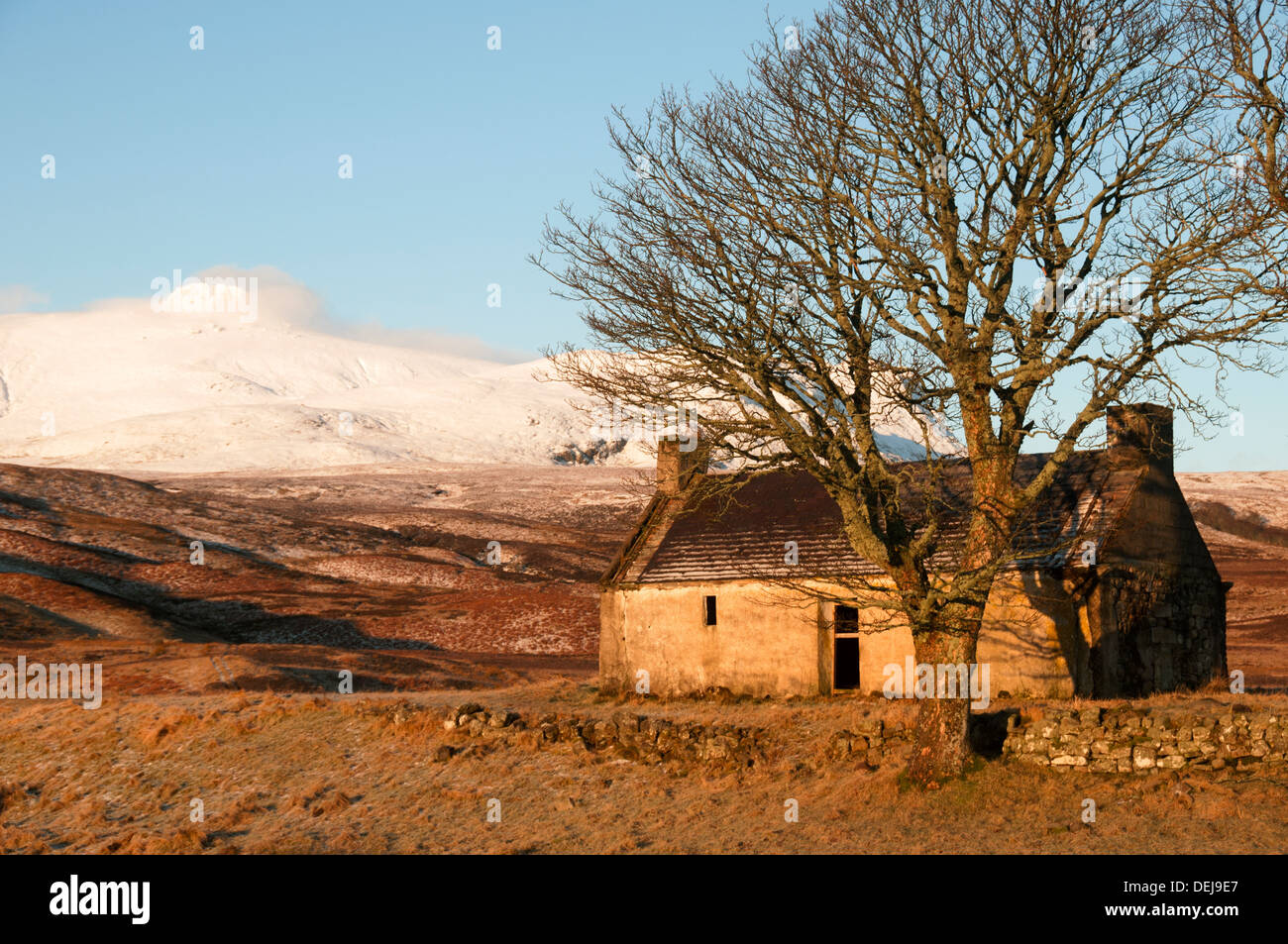 Ben loyal de la maison abandonnée au Lettermore, Loch Loyal, près de langue, Sutherland, Scotland, UK Banque D'Images