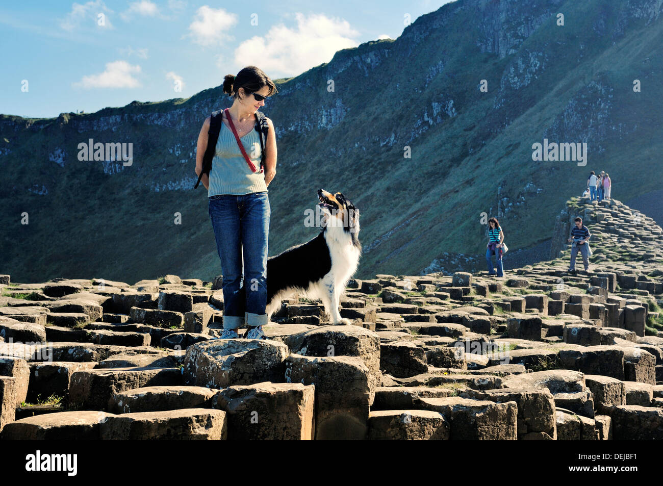 Giant's Causeway, Co. côte d'Antrim, Irlande du Nord, Royaume-Uni. Jeune femme et border collie sur colonnes de basalte de la Grande Chaussée Banque D'Images