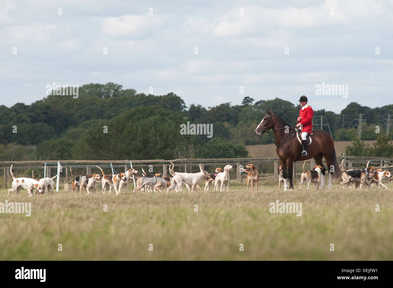 Hunt Banque D'Images