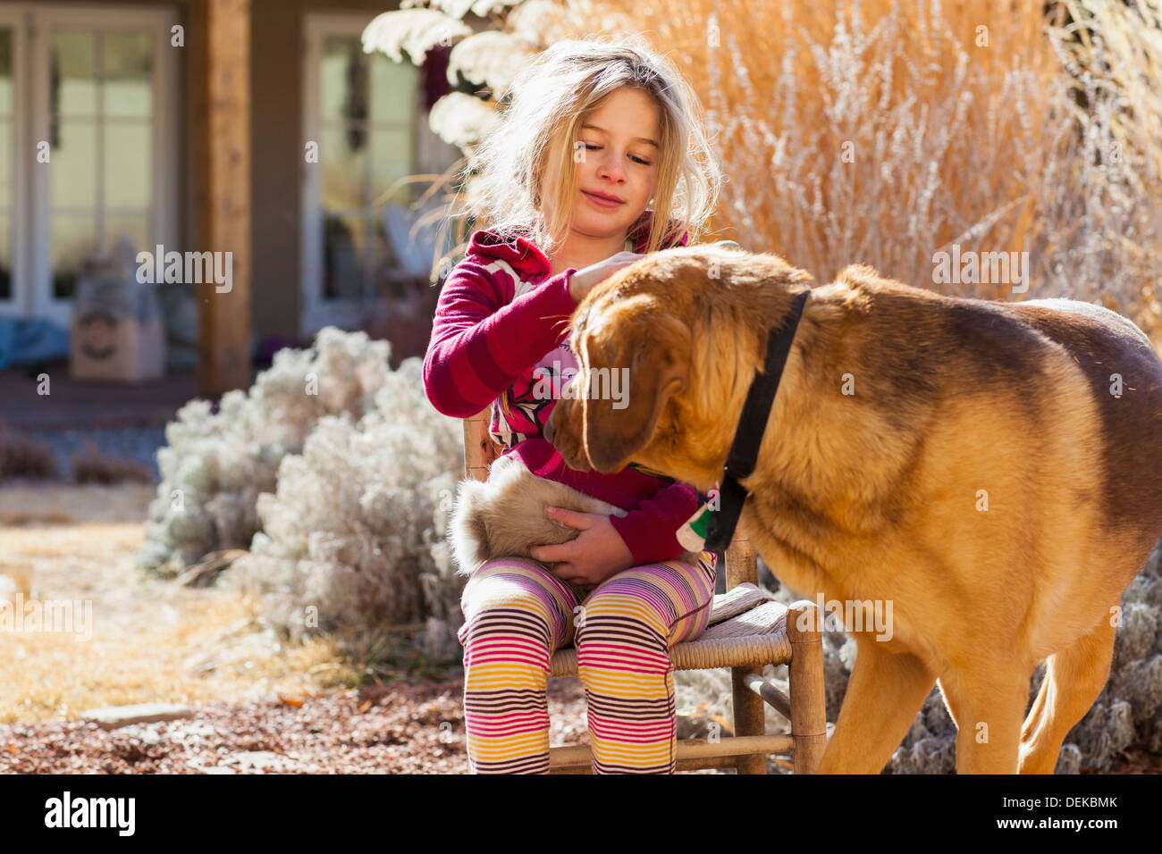 Caucasian girl petting dog outdoors Banque D'Images