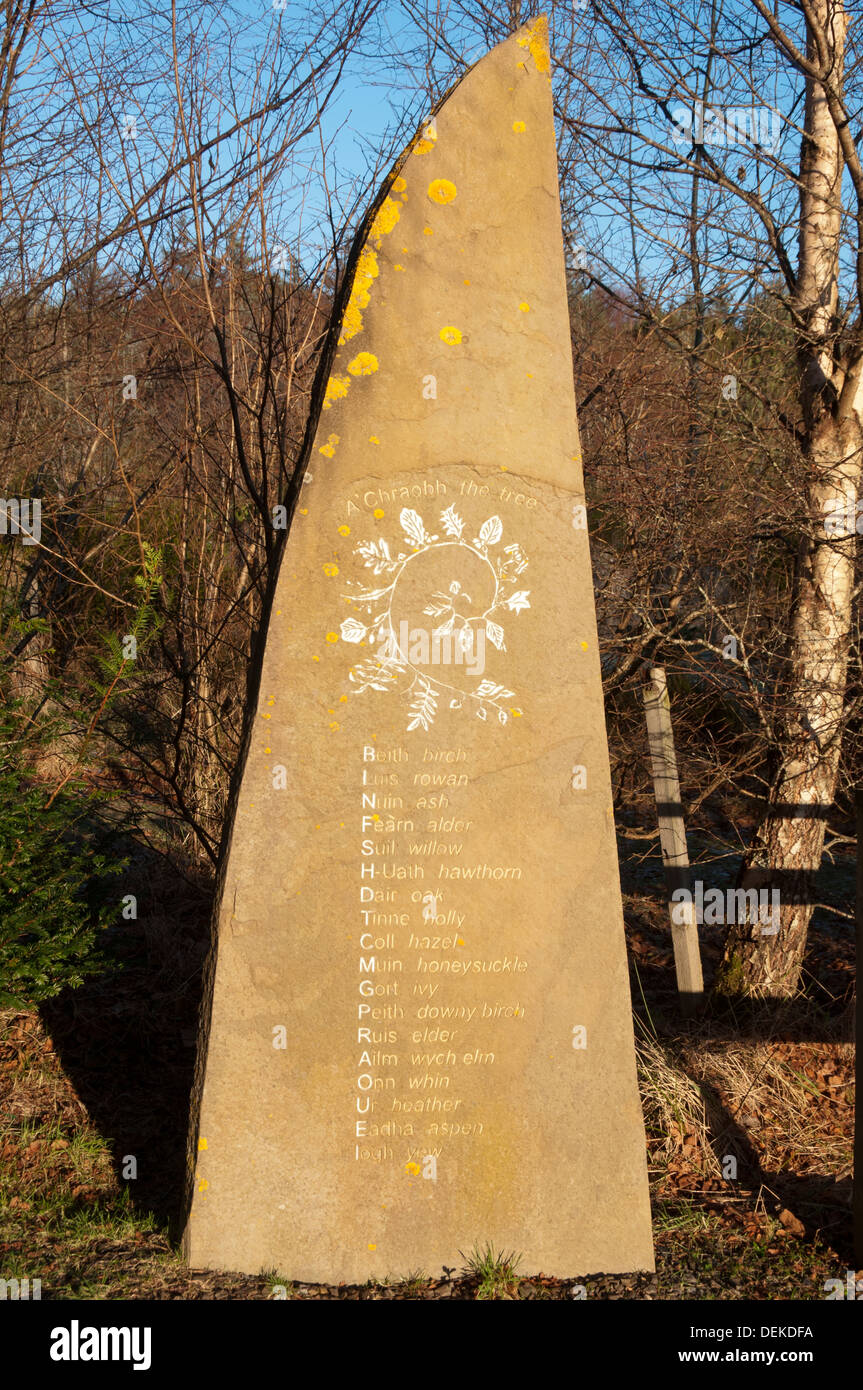 Traductions de noms gaéliques arbre figurant sur une dalle de pierre, en forêt près de Borgie Bettyhill, Sutherland, Scotland, UK Banque D'Images