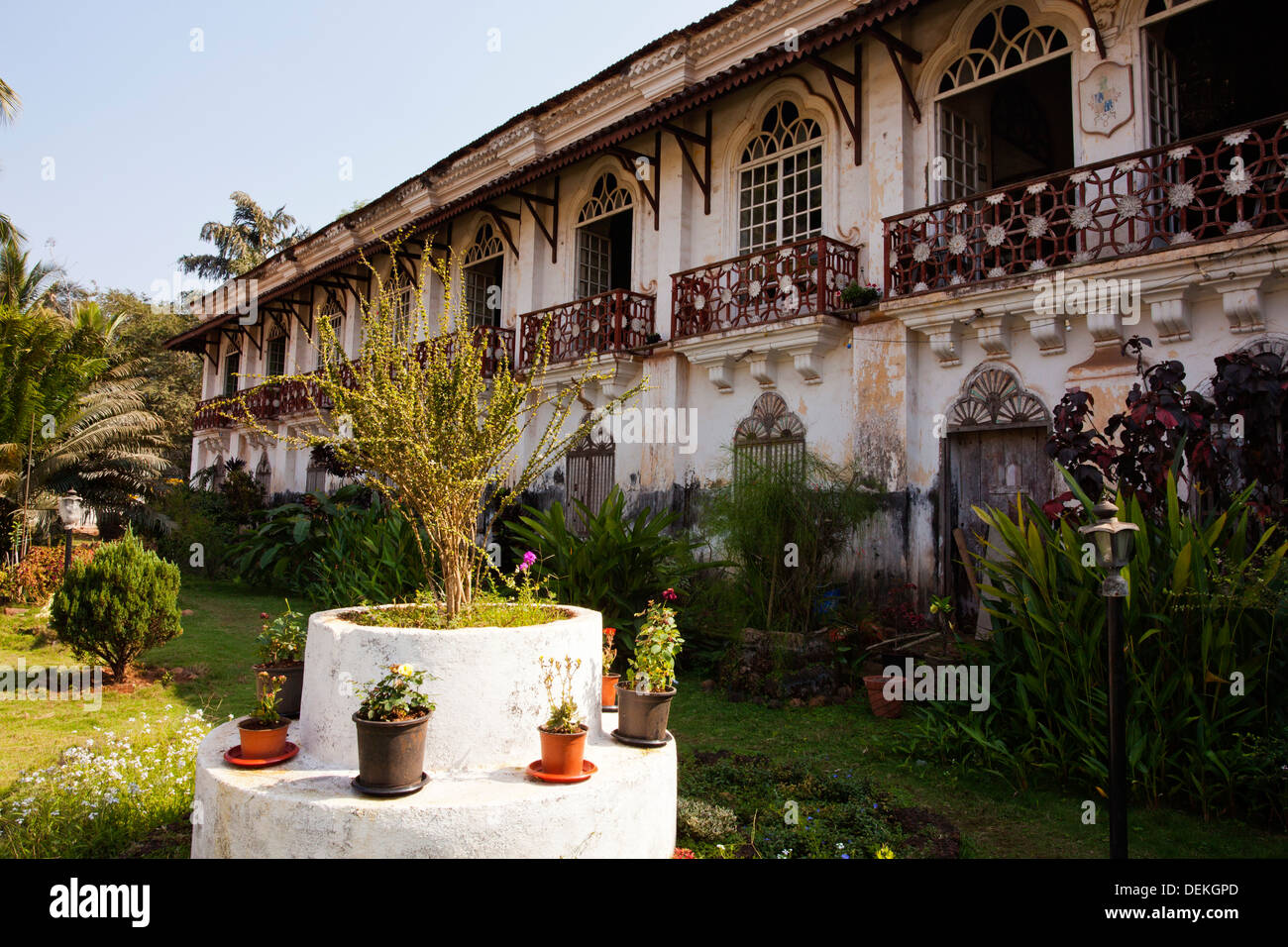 Plantes du jardin d'une maison, Menezes Braganza, maison, Salcetta Chandor, Sud de Goa, Goa, Inde Banque D'Images