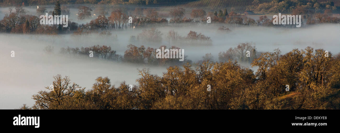 Fog rolling over rural landscape Banque D'Images