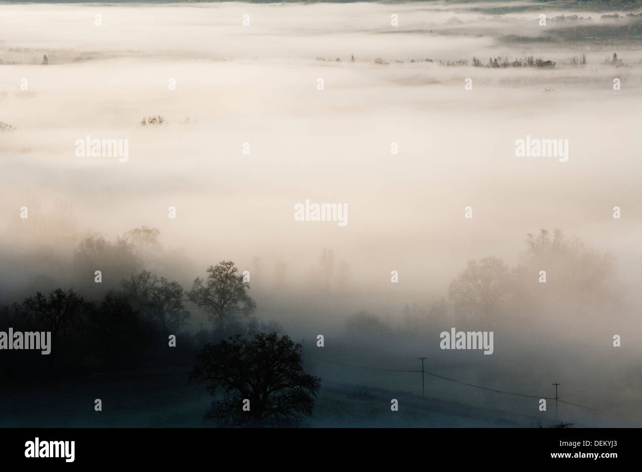 Fog rolling over rural landscape Banque D'Images