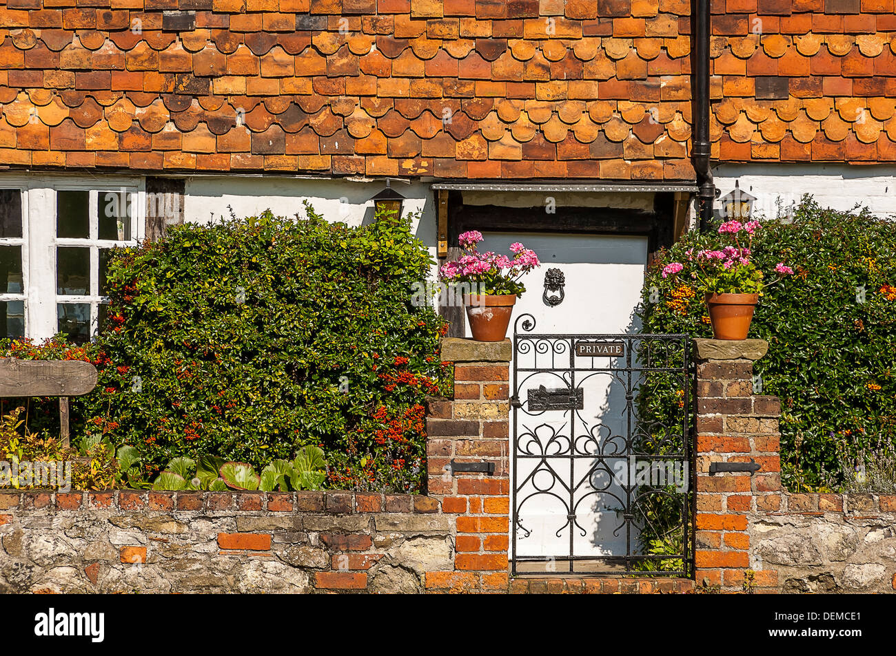 Château de Bodiam Sussex England uk europe château chêne arbre de l'été big strong portrait lumière pommelé Banque D'Images