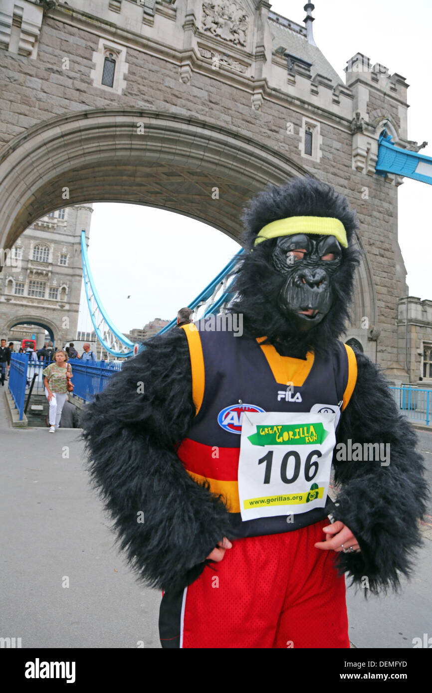 Londres, Royaume-Uni. 21 septembre 2013. Les participants déguisés en gorilles au Tower Bridge à la Great Gorilla Run 10e anniversaire La charité fancy dress run dans l'aide des gorilles de montagnes et le Gorille Organisation, Londres, Angleterre Crédit : Paul Brown/Alamy Live News Banque D'Images