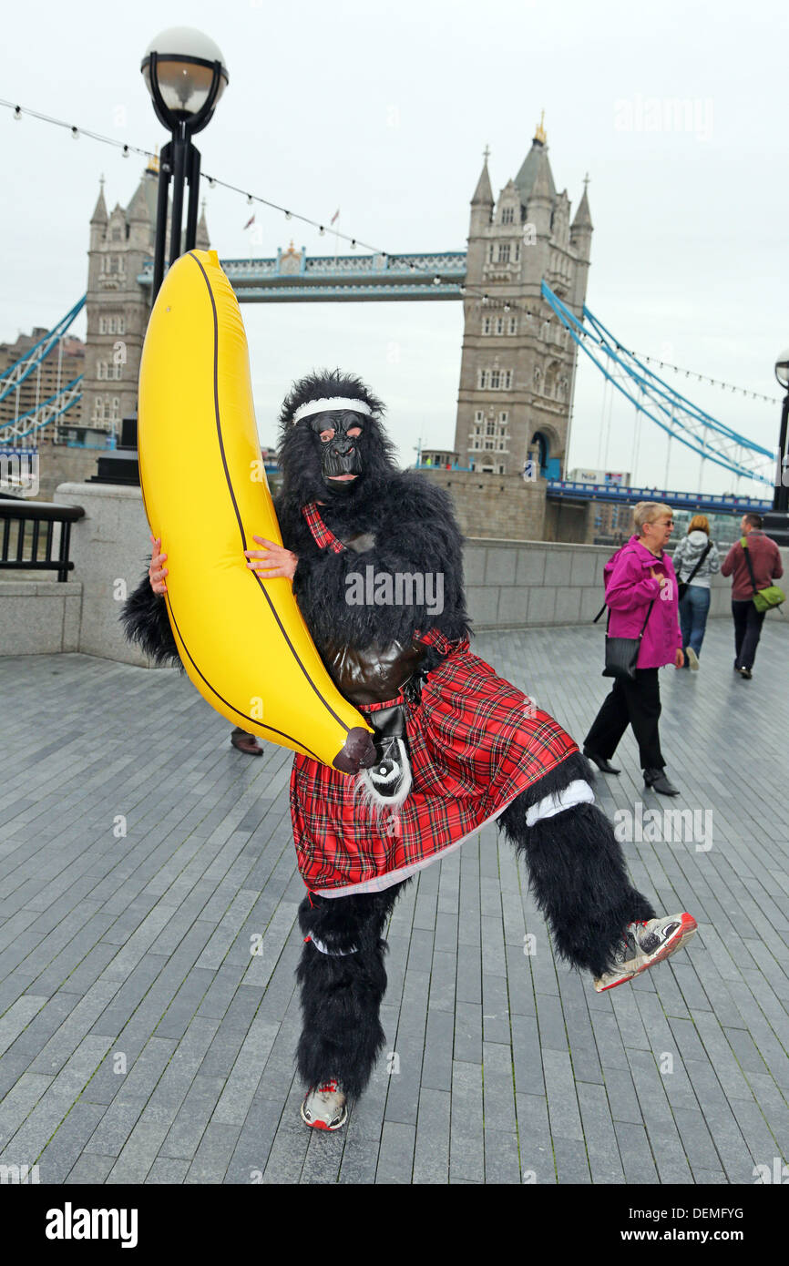 Londres, Royaume-Uni. 21 septembre 2013. Les participants déguisés en gorilles au Tower Bridge à la Great Gorilla Run 10e anniversaire La charité fancy dress run dans l'aide des gorilles de montagnes et le Gorille Organisation, Londres, Angleterre Crédit : Paul Brown/Alamy Live News Banque D'Images