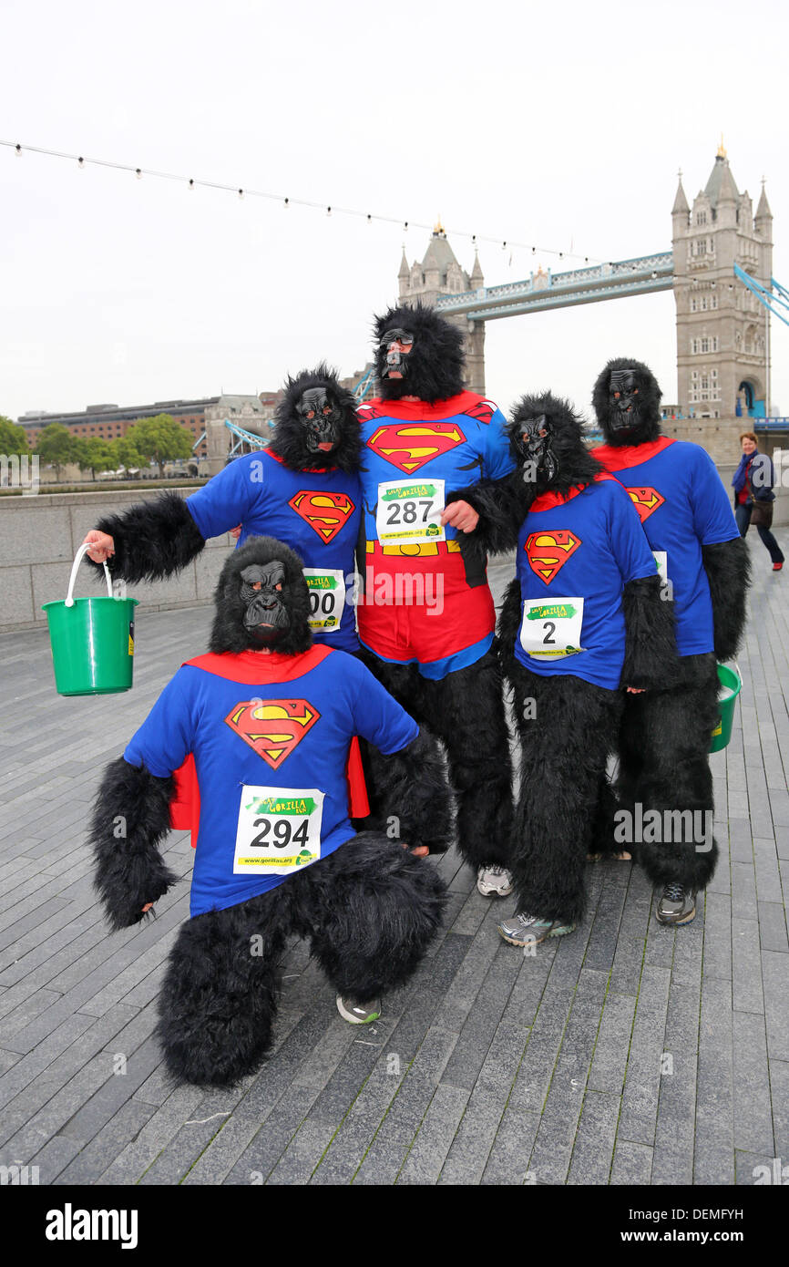 Londres, Royaume-Uni. 21 septembre 2013. Les participants déguisés en gorilles au Tower Bridge à la Great Gorilla Run 10e anniversaire La charité fancy dress run dans l'aide des gorilles de montagnes et le Gorille Organisation, Londres, Angleterre Crédit : Paul Brown/Alamy Live News Banque D'Images