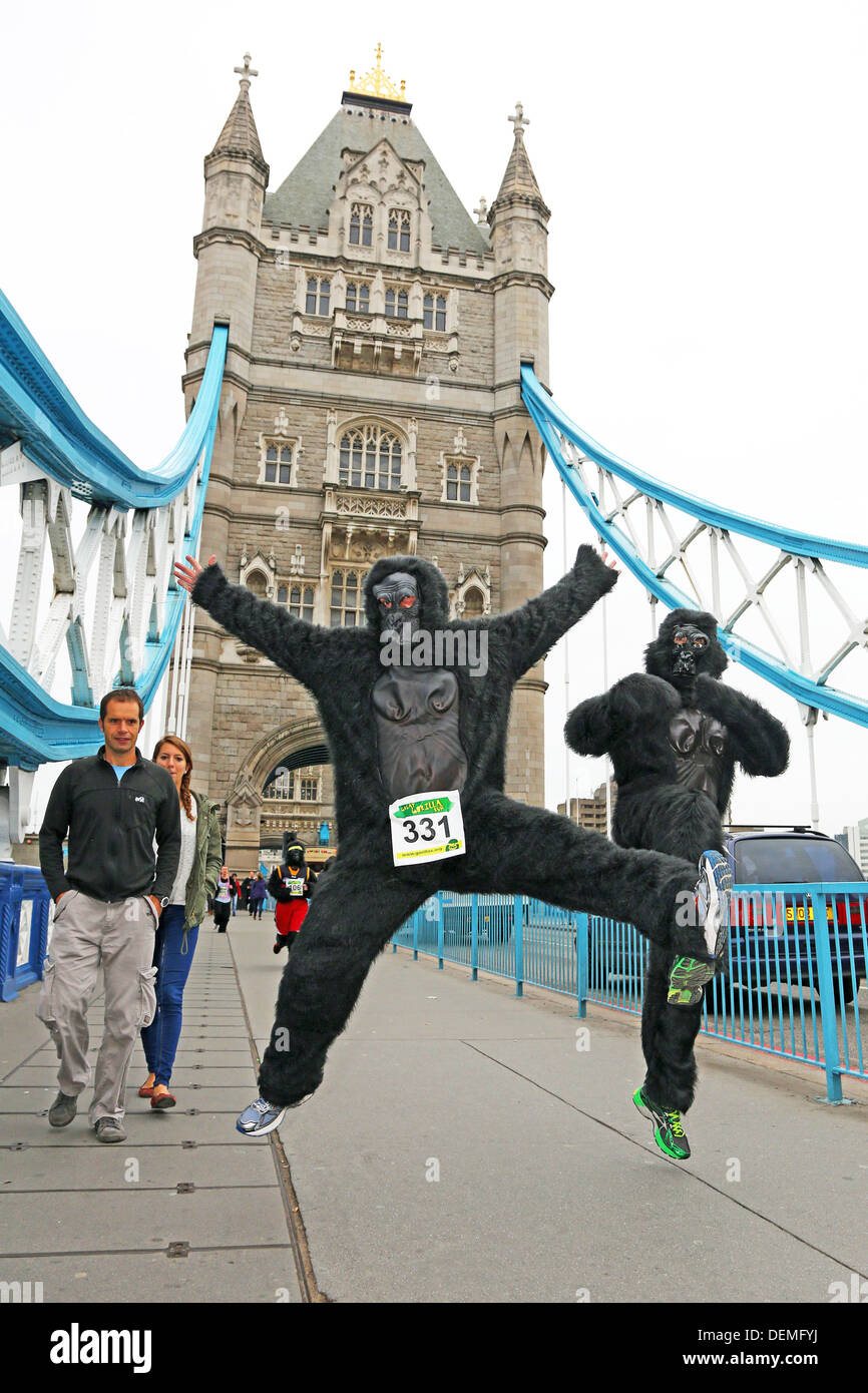 Londres, Royaume-Uni. 21 septembre 2013. Les participants déguisés en gorilles au Tower Bridge à la Great Gorilla Run 10e anniversaire La charité fancy dress run dans l'aide des gorilles de montagnes et le Gorille Organisation, Londres, Angleterre Crédit : Paul Brown/Alamy Live News Banque D'Images