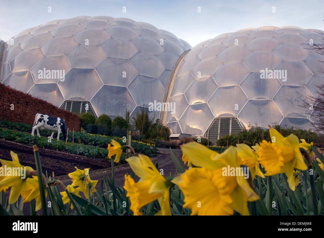 Eden Project,Cornwall,UK,une série de biodomes artificiel avec des collections de plantes,arbres,fleurs de partout dans le monde tropical inc. Banque D'Images