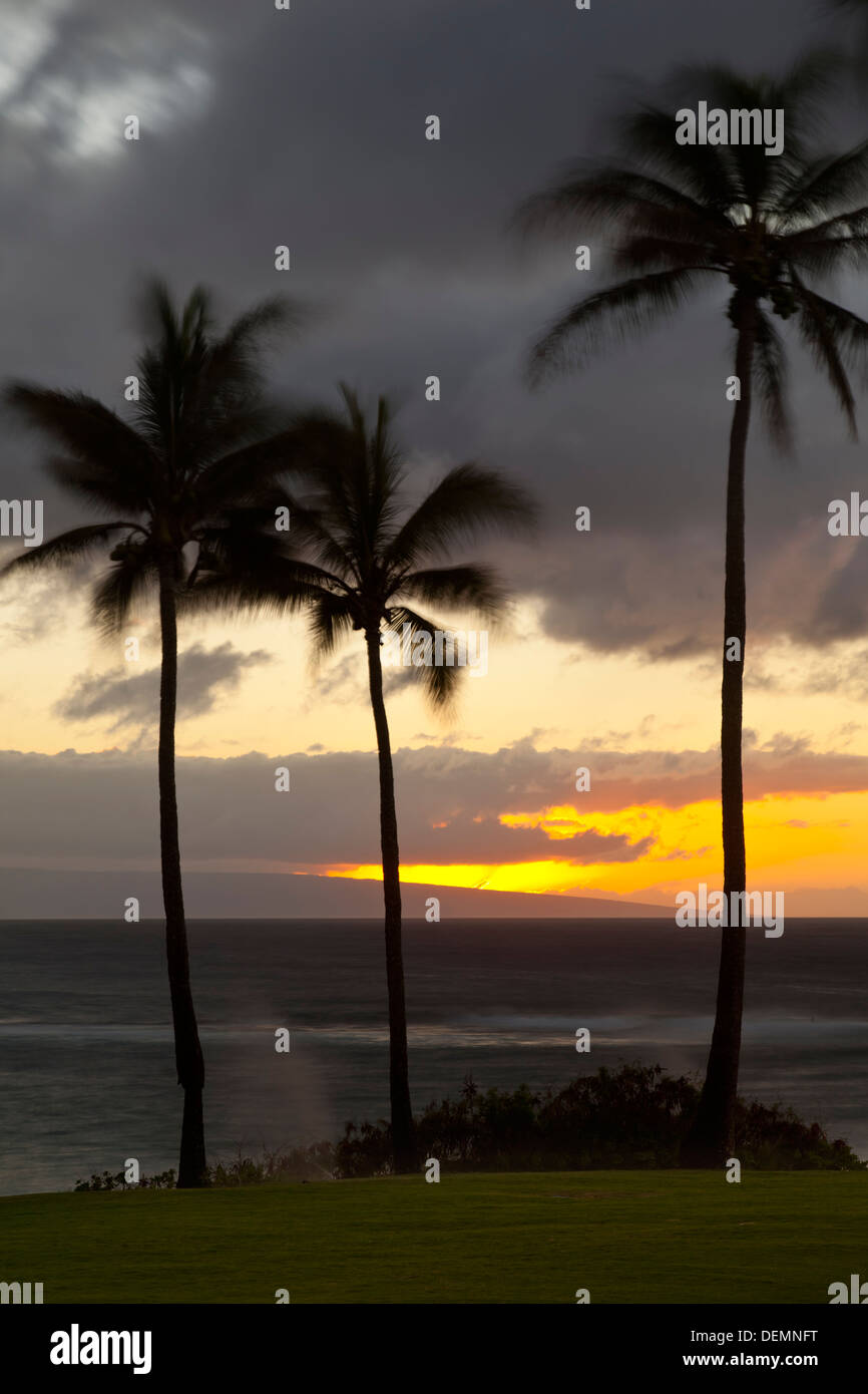 Napili Point avec des cocotiers au coucher du soleil à Maui, Hawaii. Banque D'Images Napili Point avec des cocotiers au coucher du soleil à Maui, Hawaii. Banque D'Images
