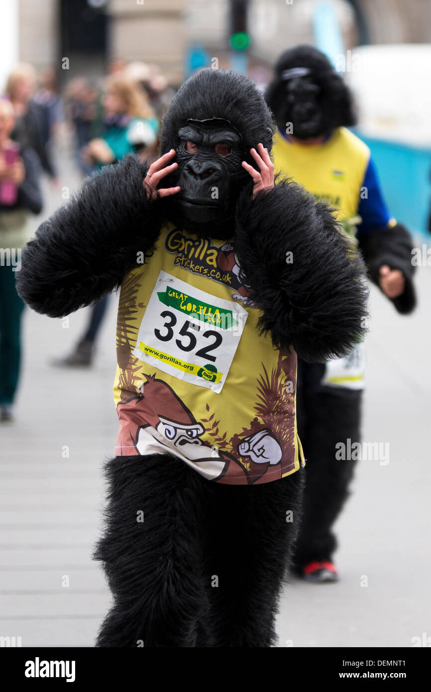 Londres, Royaume-Uni. 21e Août 2013. Le Great Gorilla Run run d'un organisme de bienfaisance au profit de l'Organisation des gorilles, Londres, Angleterre. Crédit : Simon Balson/Alamy Live News Banque D'Images