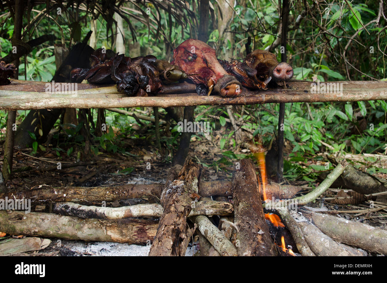 La chasse durable de l'Amazonie au Pérou Banque D'Images