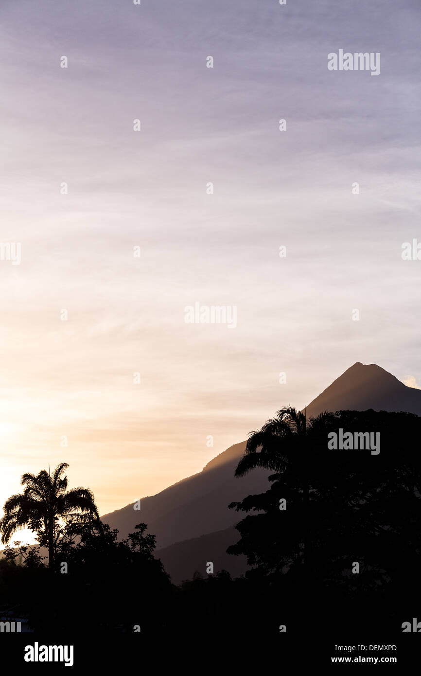 CARACAS - circa 2013 : Coucher de avila à Caracas et un Palm Banque D'Images