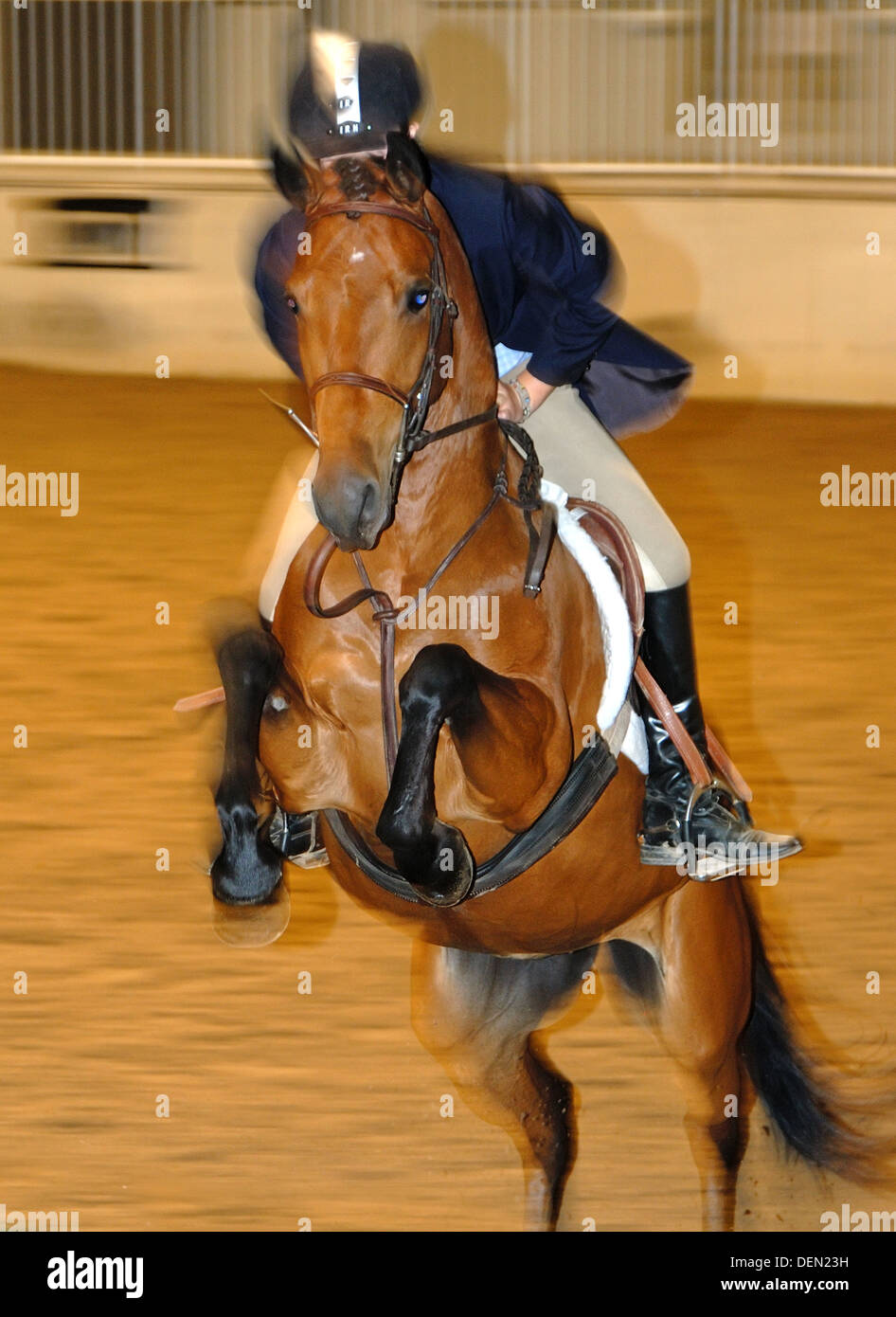 Gilet de protection équitation Smartrider taille XS comme NEUF - SV91 - Sport & Plein air
