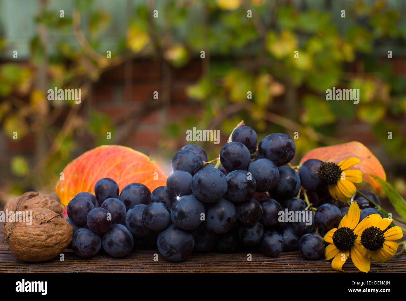 Muscat Rose, raisin de table Banque D'Images