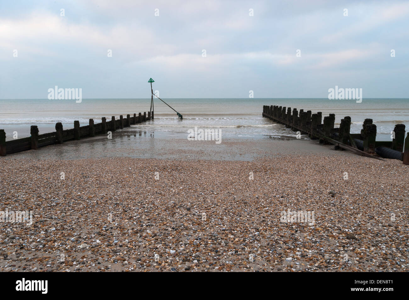 Aines sur Bracklesham bay beach, Sussex, UK Banque D'Images