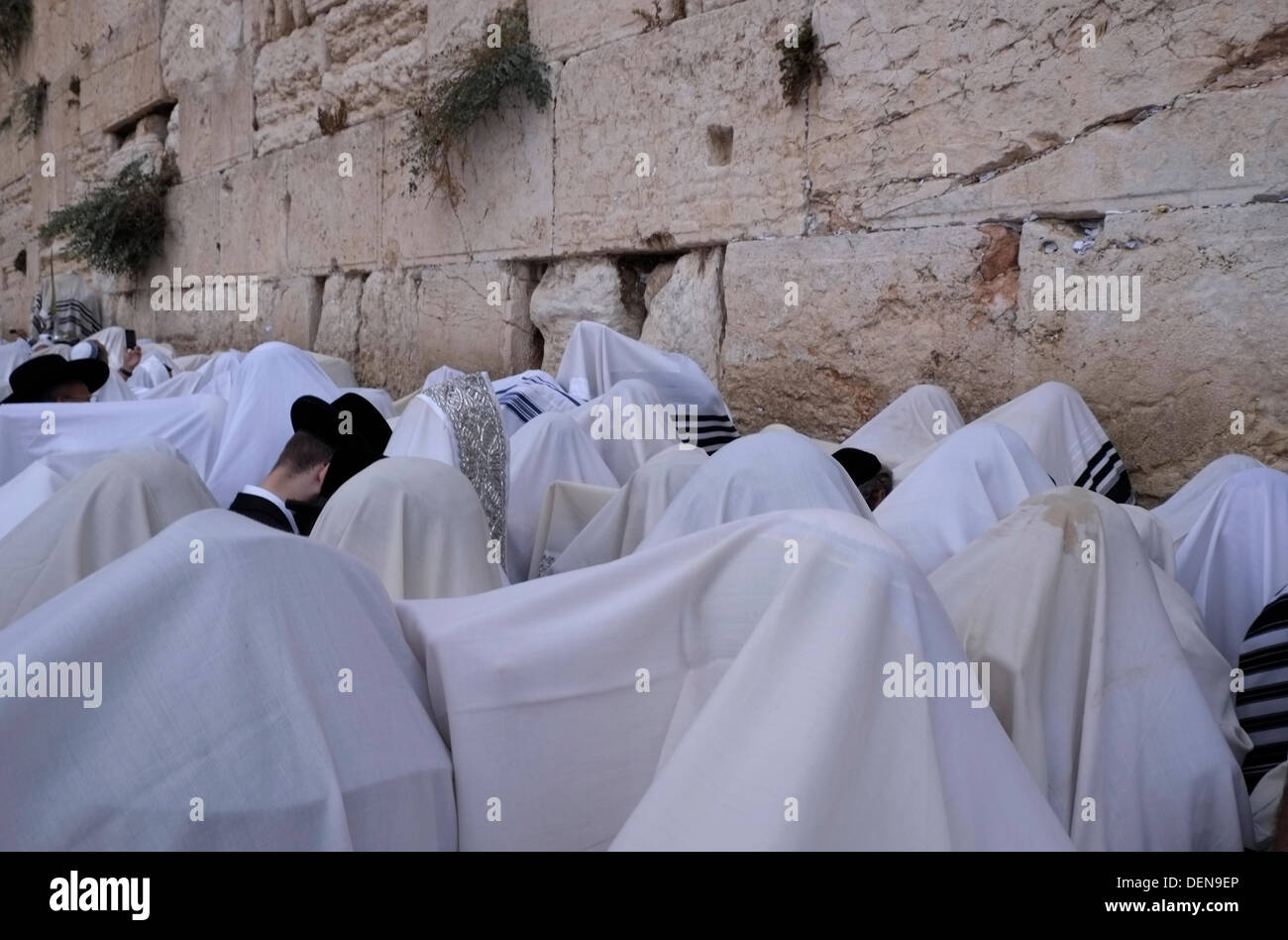 Israël, Jérusalem. 22 septembre 2013. Les adorateurs juifs qui participent à la messe semestrielle 'birkat kohanim' ou 'bénédiction sacerdotale' qui se déroule pendant Soukkot et Pesach (Pâque) au Kotel à Jérusalem le 22 septembre 2013. Des dizaines de milliers de fidèles ont envahi la place Kotel (mur de l'Ouest) pour des prières matinales, le cinquième jour du festival de Sukkot. Le service a vu des milliers de kohanim - membres des familles sacerdotales d'Israël - bénir la foule rassemblée dans un spectacle d'unité et de célébration. Photographe : Eddie Gerald/Alay Live News Banque D'Images