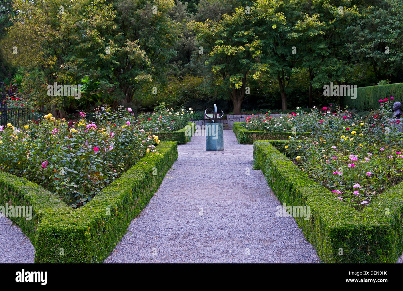 De beaux jardins de roses classique au Jardin botanique VanDusen à Vancouver, Colombie-Britannique, Canada. Banque D'Images