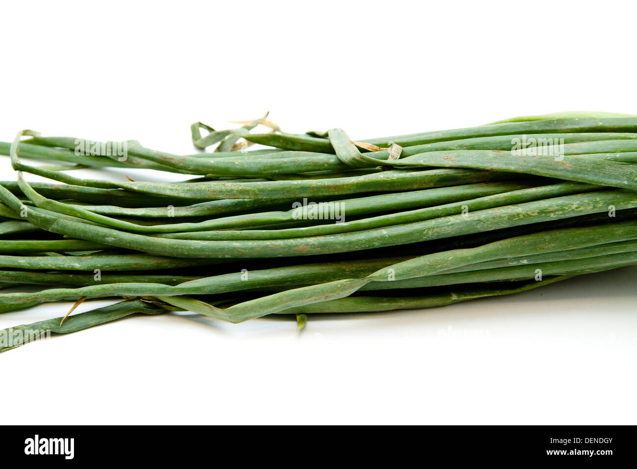 Allium fistulosum vert frais sur fond blanc Banque D'Images