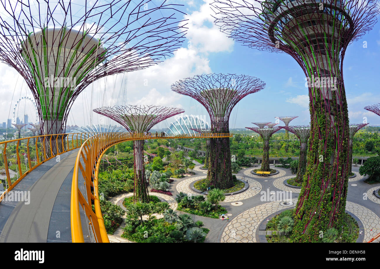 Arbre en acier et en béton comme les structures forment la Supertree Grove, dans les jardins de la baie de Singapour. Banque D'Images