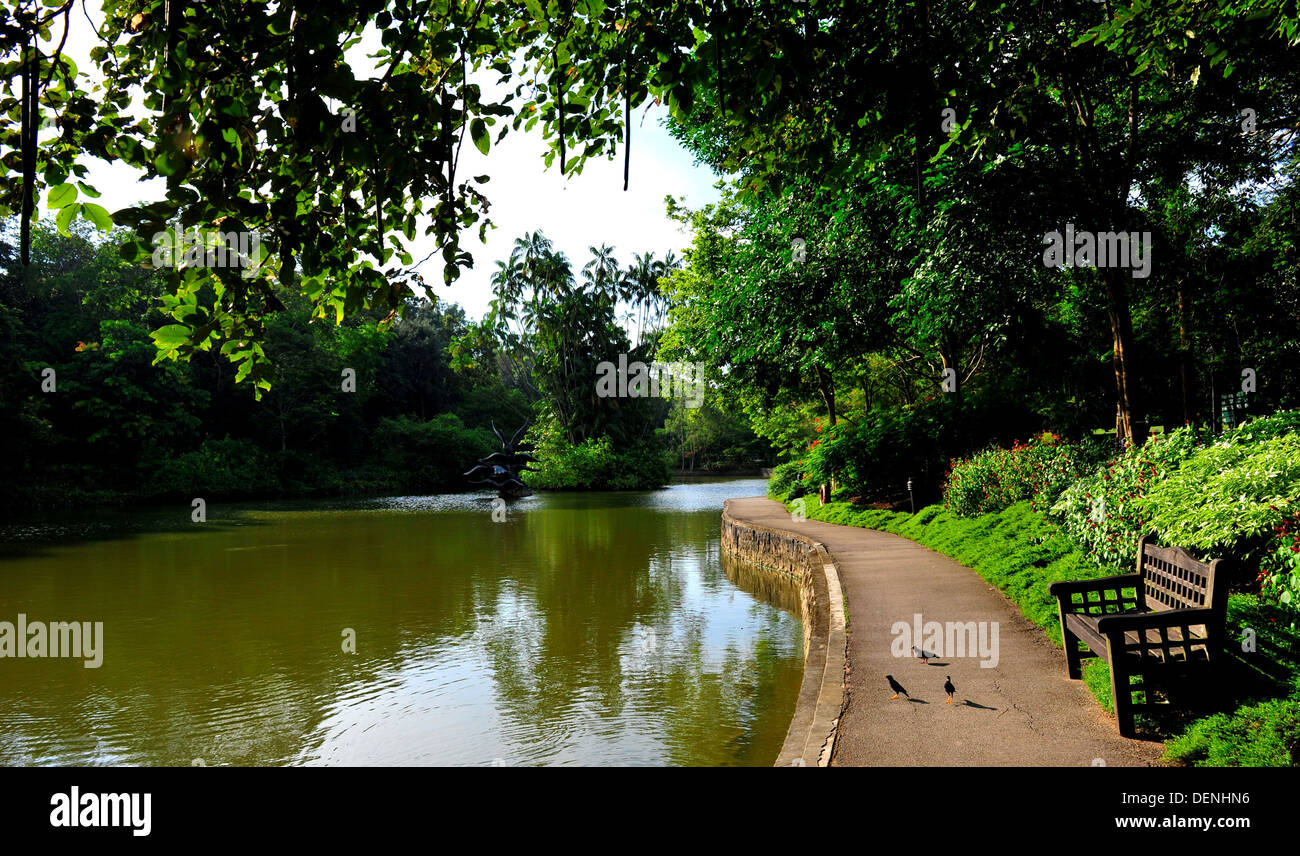 Singapour Singapour Top Attractions - Botanic Gardens Banque D'Images