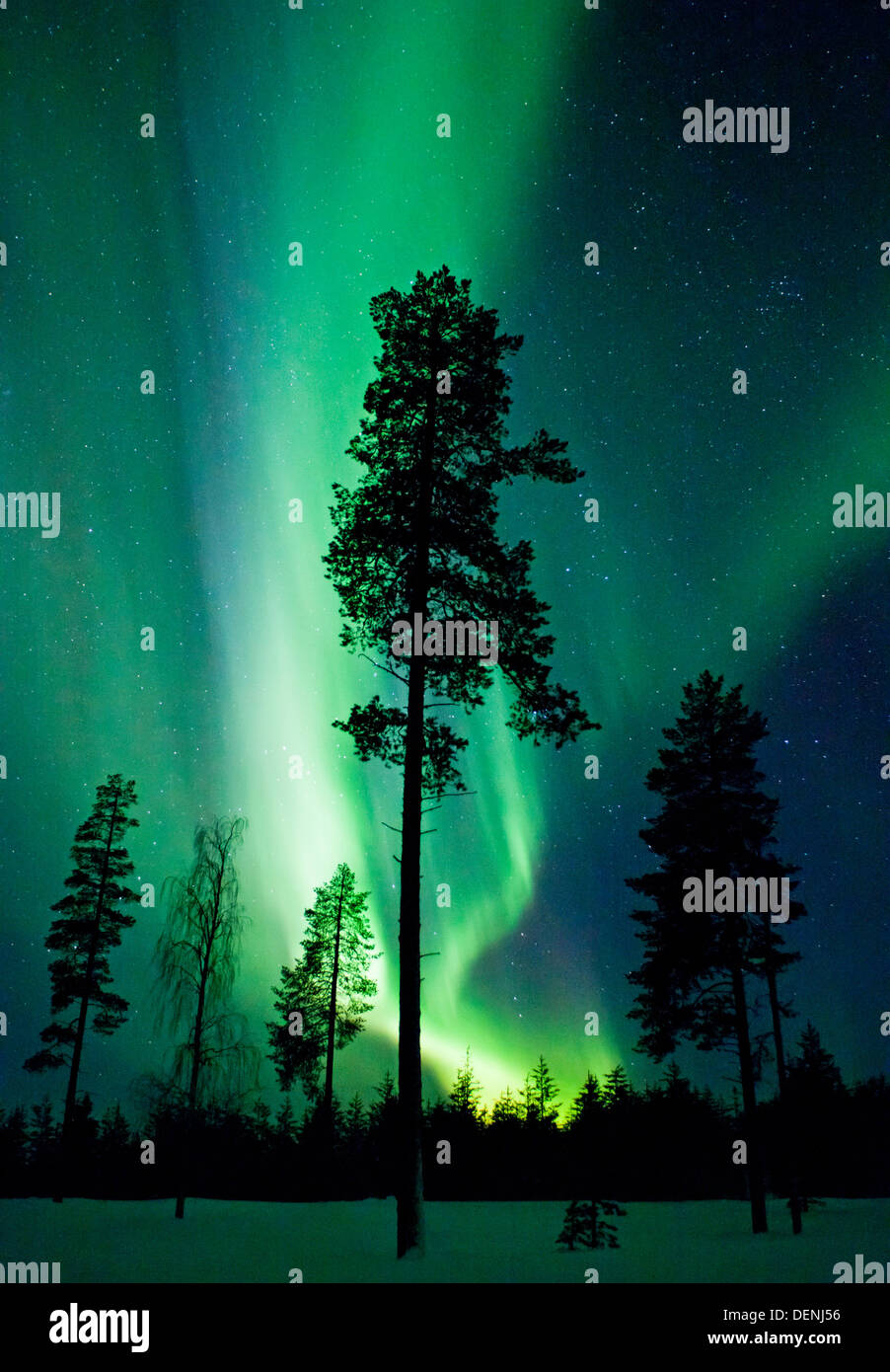 Northern Lights ou Aurore boréale au nord de la Finlande. Banque D'Images