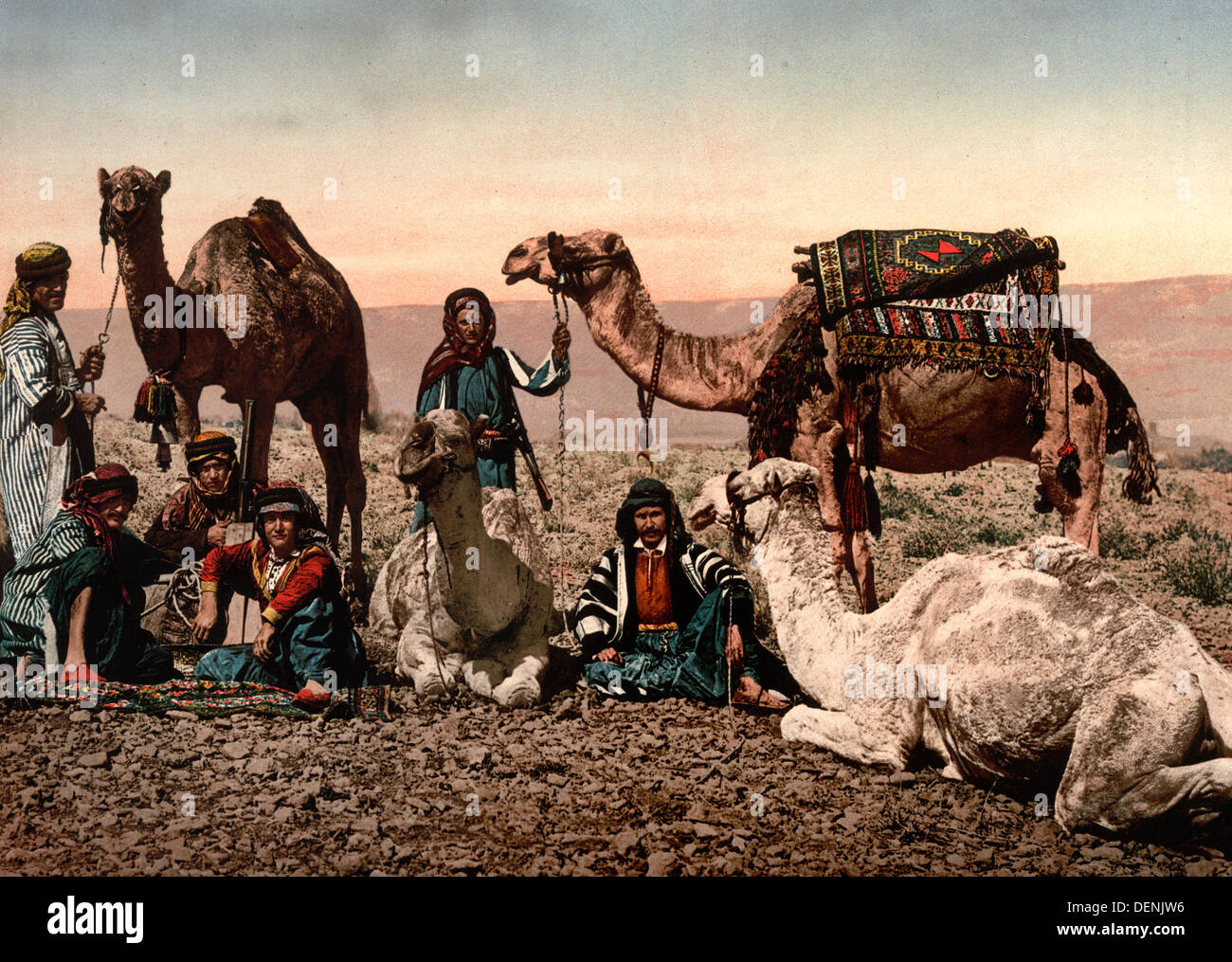 L'arrêt de chameaux dans le désert, Terre sainte, vers 1890 Banque D'Images