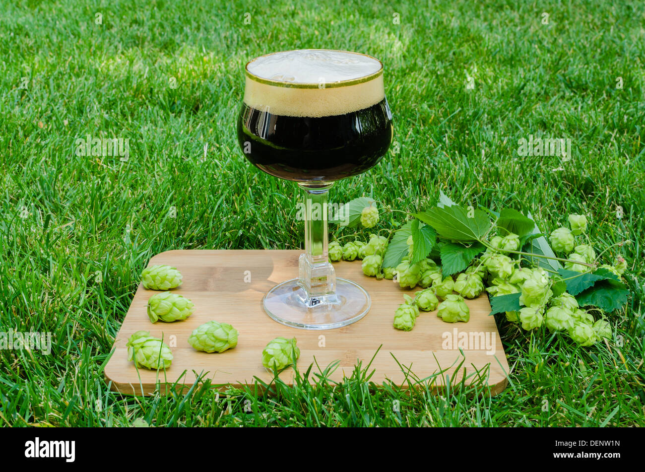 Un verre de bière brune décorée de branche de l'hop sur l'herbe verte Banque D'Images