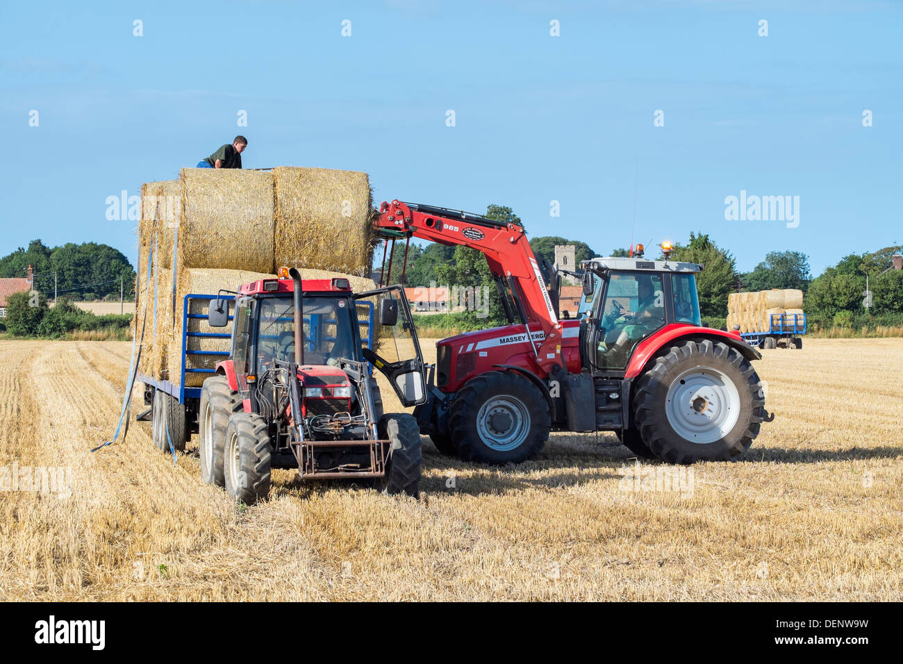 Tour de chargement tracteur sur des bottes de paille pour remorque, Norfolk, en août, Banque D'Images