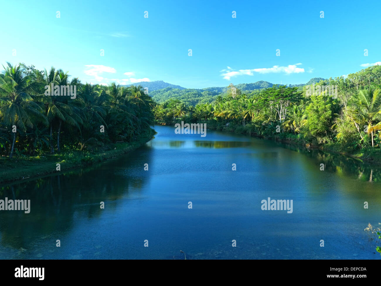 Green River avec tropical forest Banque D'Images