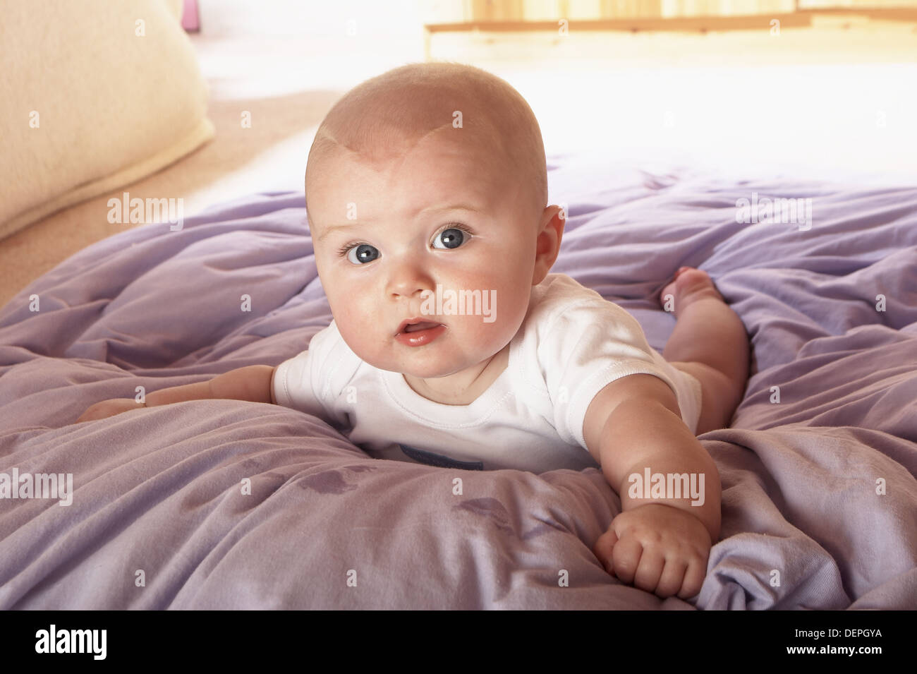 5 Mois Bebe Couche Sur Le Ventre En Levant La Tete A La Camera En Photo Stock Alamy 5 Mois Bebe Couche Sur Le Ventre En Levant La Tete A La Camera En Photo Stock Alamy