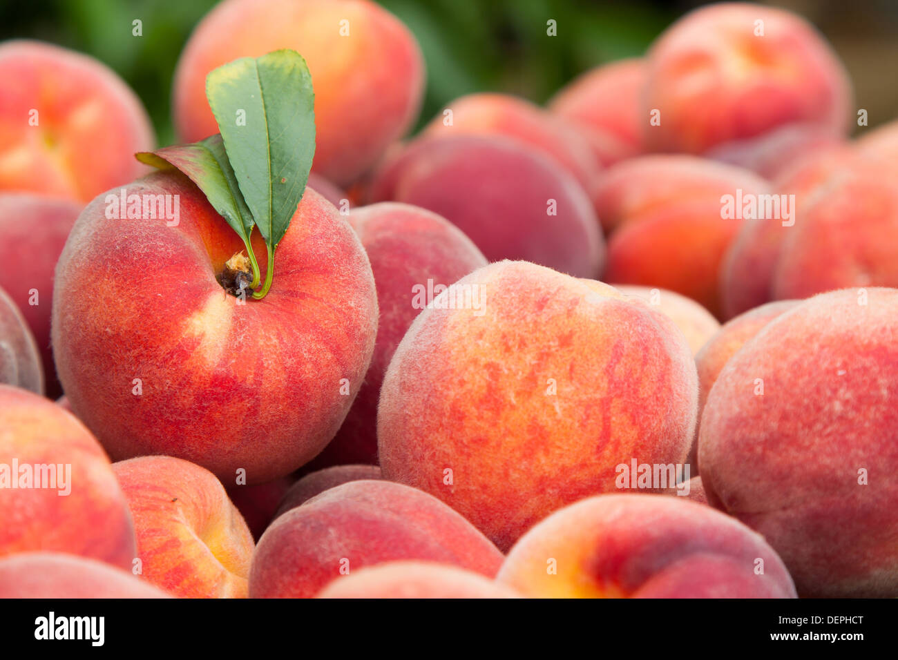 Fruits frais et juteux peach Banque D'Images