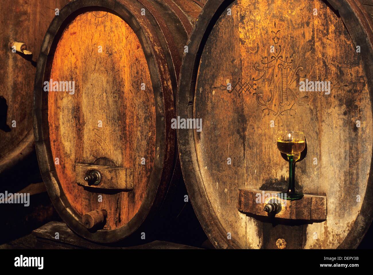 Des tonneaux de vin dans la vieille cave depuis le 16ème siècle, Karcher  Winery, Colmar, Haut-Rhin, Alsace, nord-est Photo Stock - Alamy