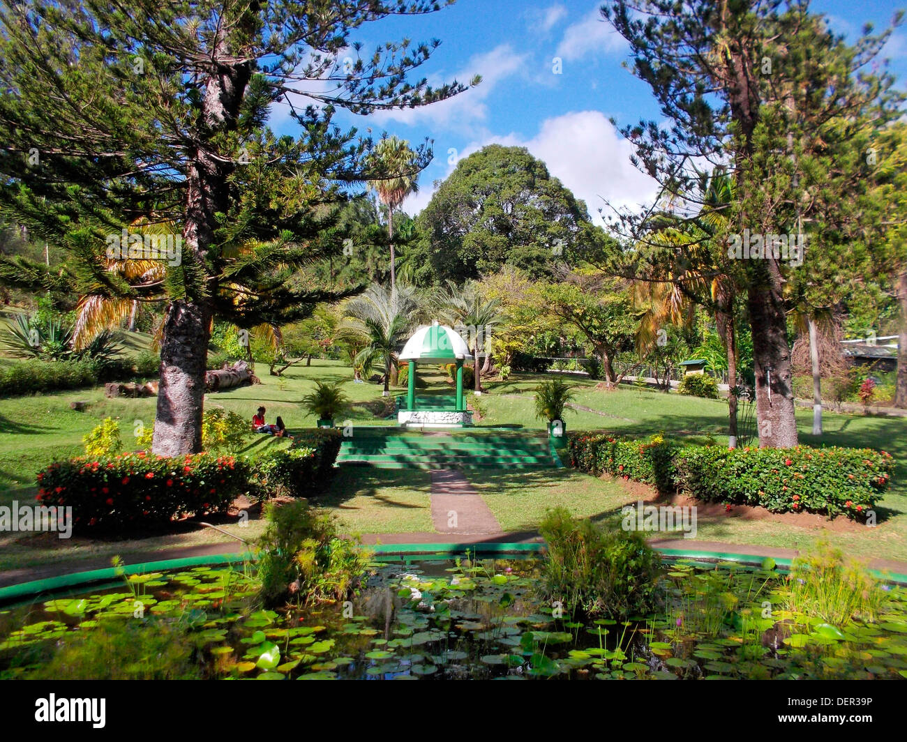 Jardins botaniques, Saint Vincent et les Grenadines - Banque D'Images