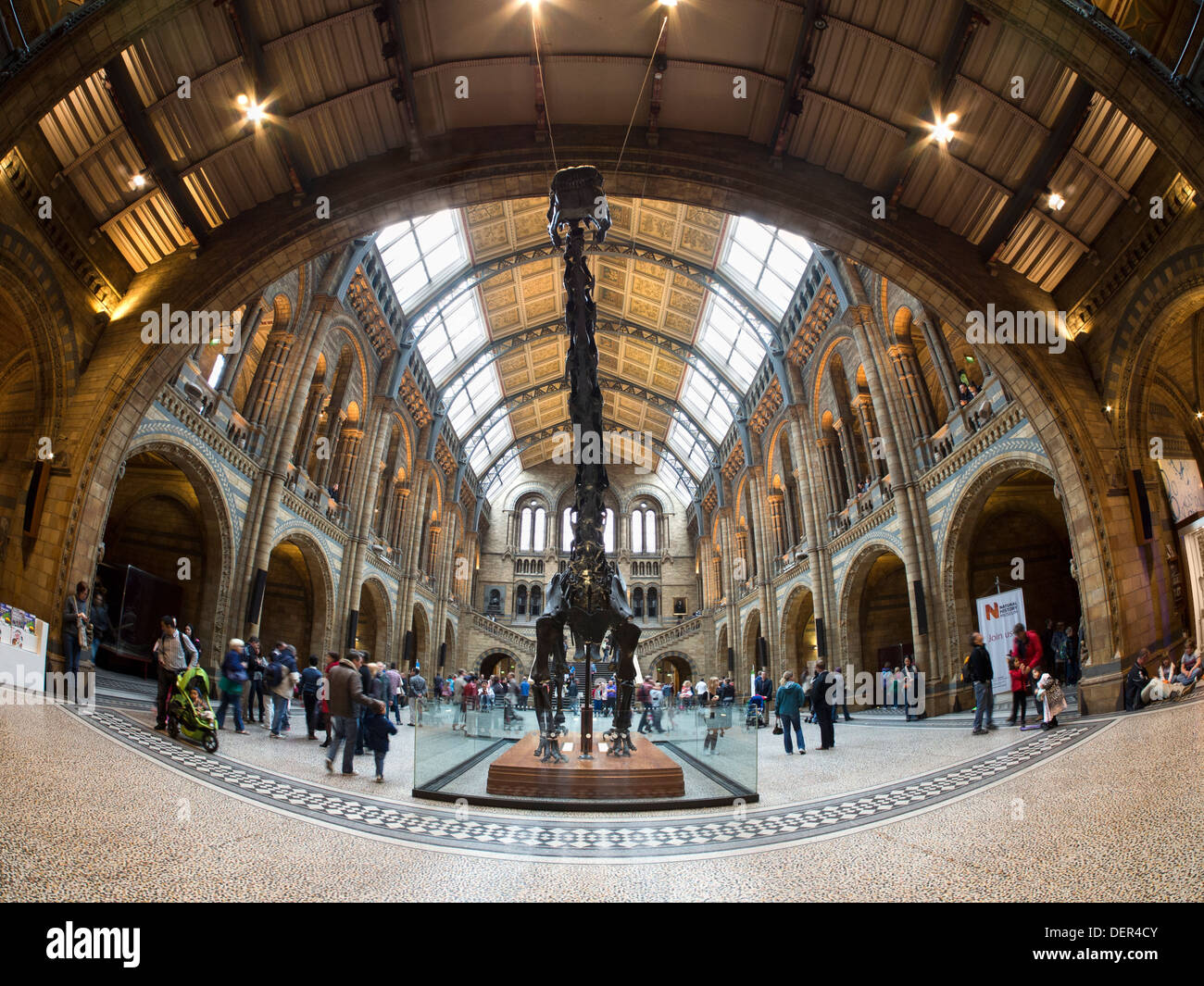 Le Natural History Museum, Londres -Galerie Centrale avec le fameux squelette de Diplodocus Banque D'Images