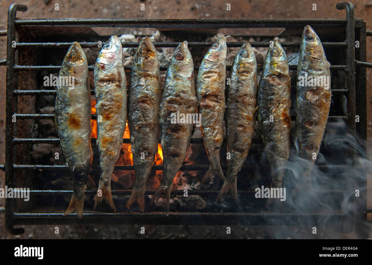 Huit Sardines (Sardina pilchardus) sur la grille du barbecue Banque D'Images