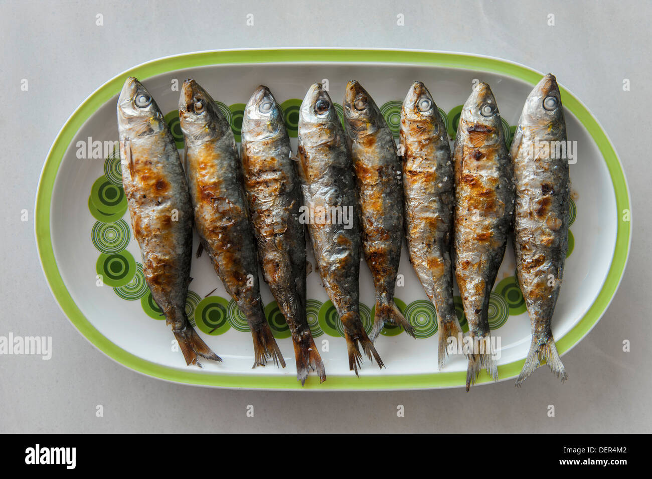 Huit sardines grillées (Sardina pilchardus) sur la plaque Banque D'Images