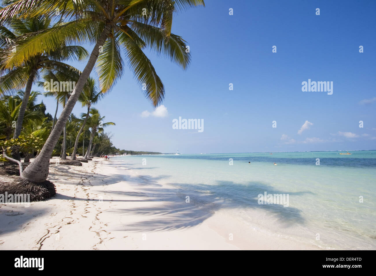 La Plage De Bavaro Punta Cana République Dominicaine