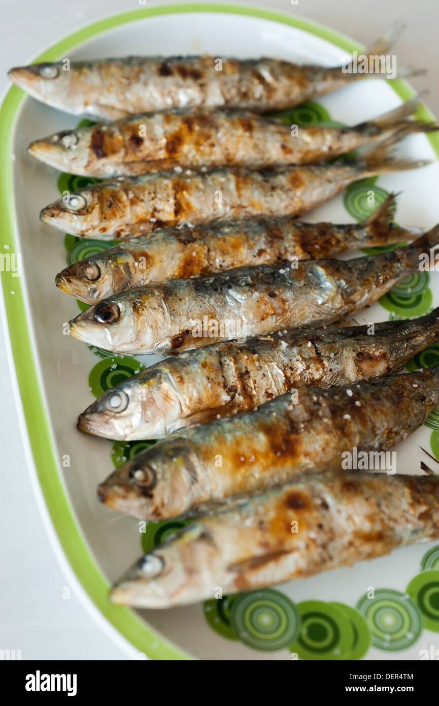 Huit sardines grillées (Sardina pilchardus) sur la plaque Banque D'Images